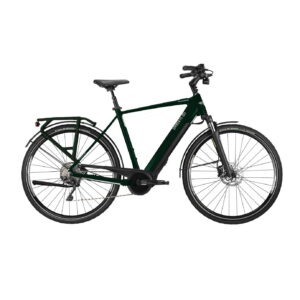 ATALA DEI AUDERE Dark Green/Silver