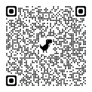 KTM MACINA RACE SX 10 DI2 Codice QR