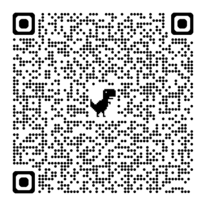 KTM MACINA GRAVELATOR SX PRIME DI2 Codice QR