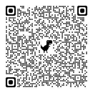 KTM MACINA PROWLER EXONIC CX Codice QR