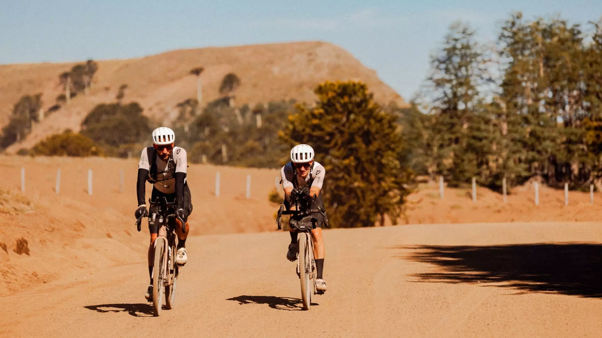 DEDA ELEMENTI ESTENSIONI