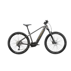 ATALA B-RACE EBLADE Anthracite/Gold
