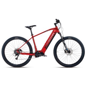 Bottecchia BE33 Teaser C81