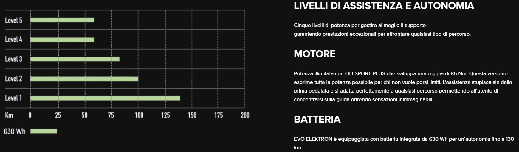 Bottecchia BE36 Evo Elektron Tecnologie