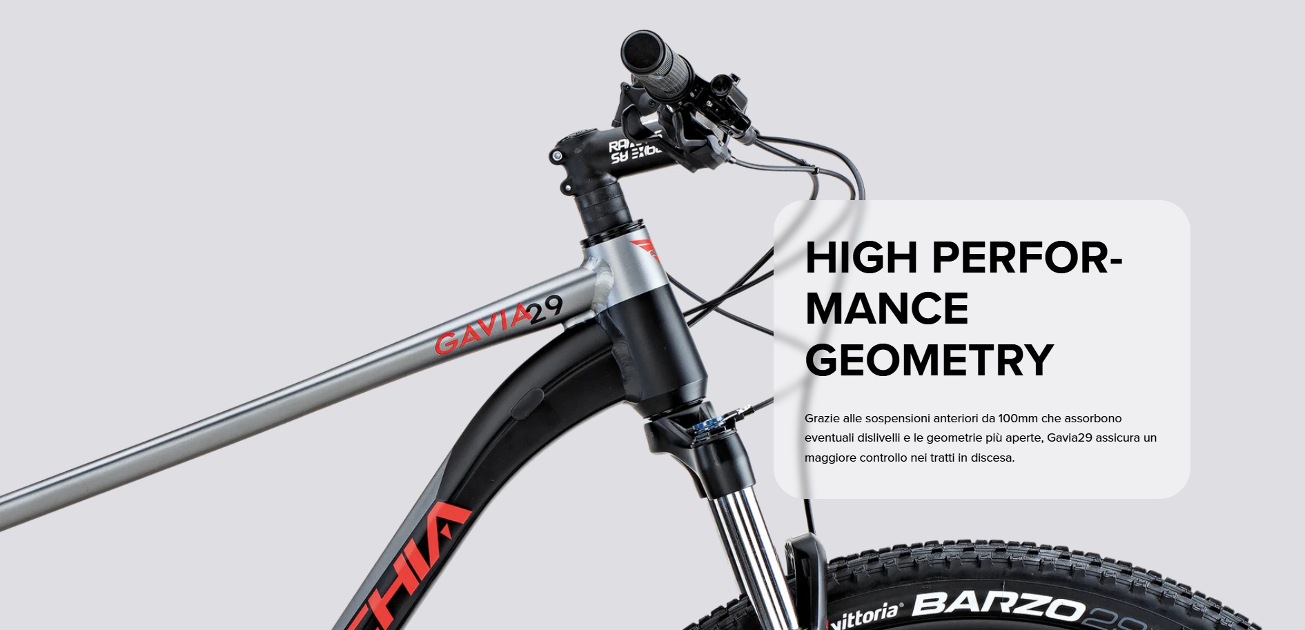 Bottecchia Gavia 29 Particolare 2