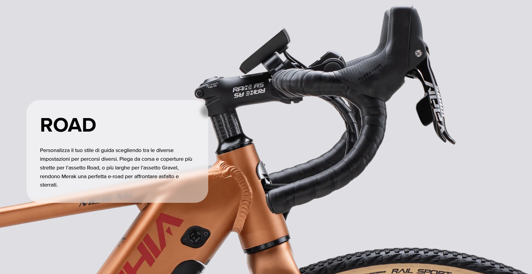 Bottechia BE85S Merak Road particolare