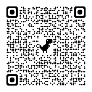 KTM WILD SPEED DISC 26 Codice QR