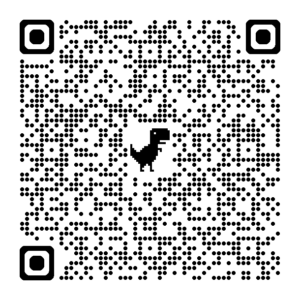 KTM GRABELATOR EXONIC Codice QR