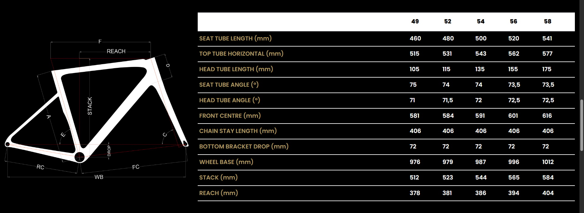 RONSE LIMITED 60TH SHIMANO DURA-ACE DI2 | FONDRIEST
