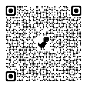 MACINA STYLE FS PRIME DI2 Codice QR