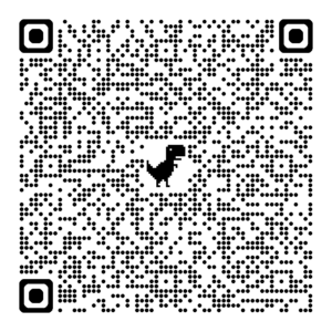 KTM MACINA STYLE 810 DI2 Codice QR